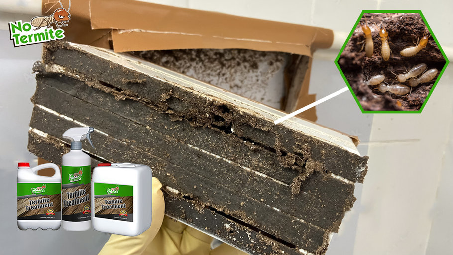 Sú vaše investície v bezpečí pred termitmi?