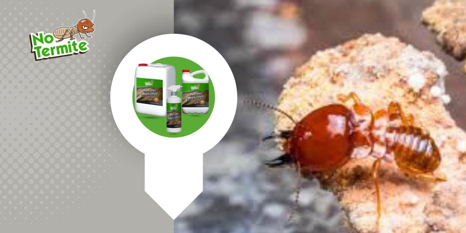 Ako odstrániť termity bez poškodenia životného prostredia?