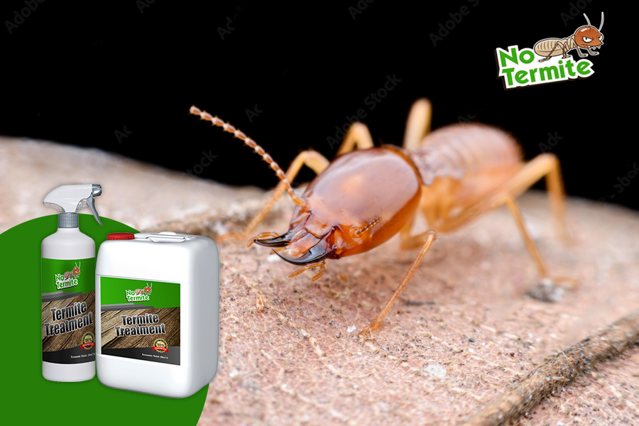 Sú techniky proti termitom účinné?